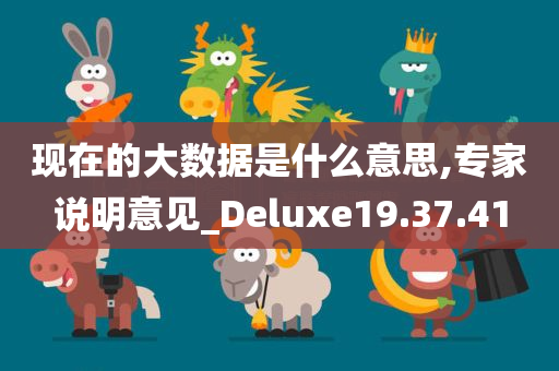 现在的大数据是什么意思,专家说明意见_Deluxe19.37.41