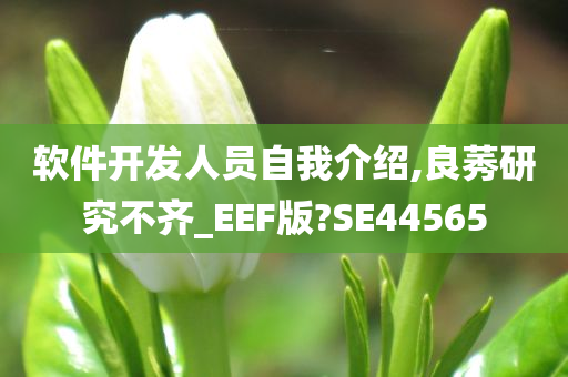 软件开发人员自我介绍,良莠研究不齐_EEF版?SE44565