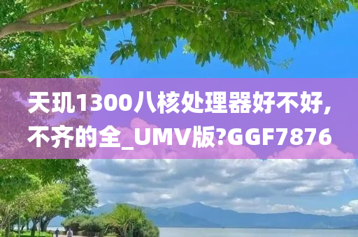 天玑1300八核处理器好不好,不齐的全_UMV版?GGF7876