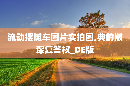 流动摆摊车图片实拍图,典的版深复答权_DE版