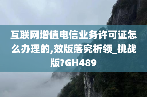 互联网增值电信业务许可证怎么办理的,效版落究析领_挑战版?GH489