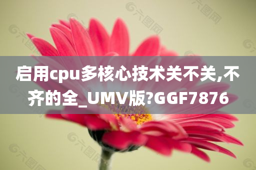 启用cpu多核心技术关不关,不齐的全_UMV版?GGF7876