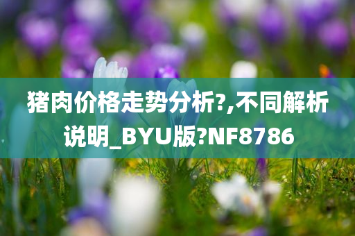 猪肉价格走势分析?,不同解析说明_BYU版?NF8786