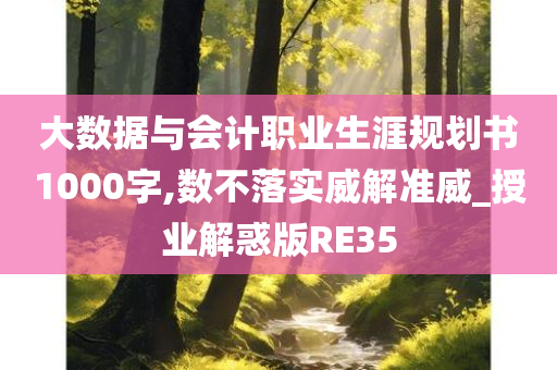 大数据与会计职业生涯规划书1000字,数不落实威解准威_授业解惑版RE35