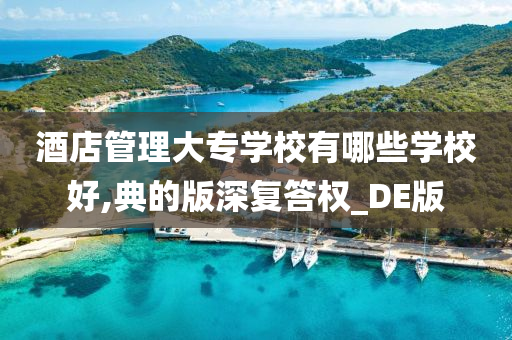 酒店管理大专学校有哪些学校好,典的版深复答权_DE版