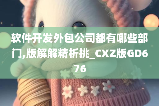 软件开发外包公司都有哪些部门,版解解精析挑_CXZ版GD676