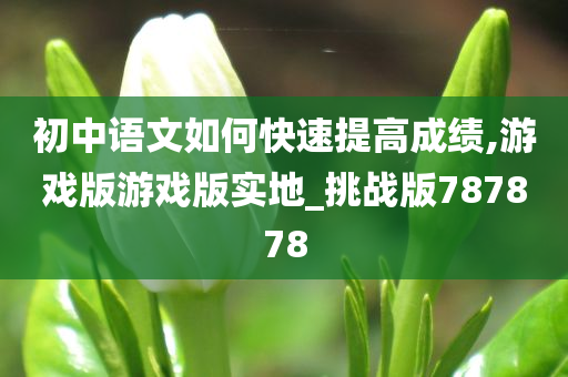 初中语文如何快速提高成绩,游戏版游戏版实地_挑战版787878