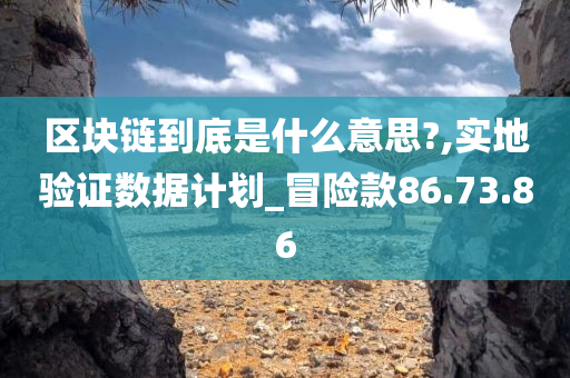 区块链到底是什么意思?,实地验证数据计划_冒险款86.73.86