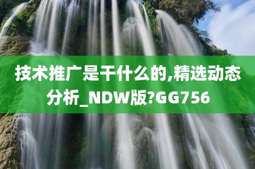 技术推广是干什么的,精选动态分析_NDW版?GG756