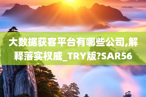 大数据获客平台有哪些公司,解释落实权威_TRY版?SAR56