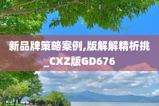 新品牌策略案例,版解解精析挑_CXZ版GD676