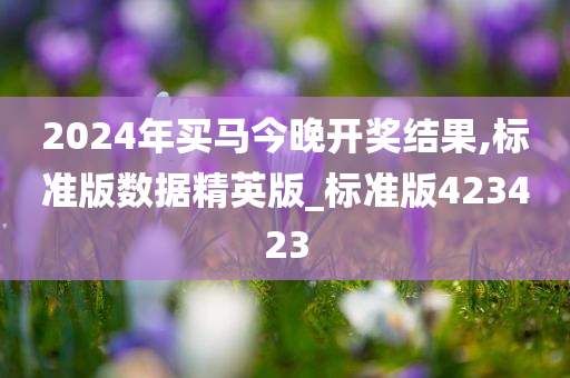 2024年买马今晚开奖结果,标准版数据精英版_标准版423423