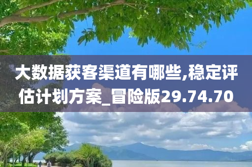 大数据获客渠道有哪些,稳定评估计划方案_冒险版29.74.70