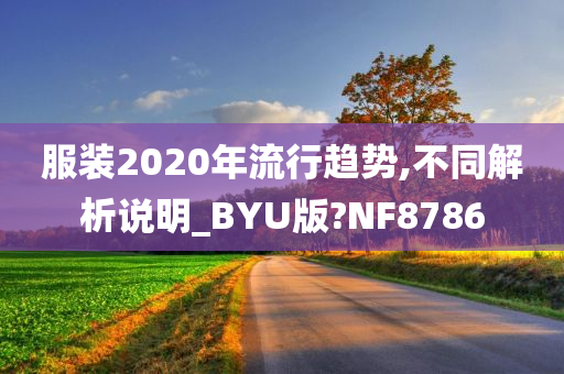 服装2020年流行趋势,不同解析说明_BYU版?NF8786