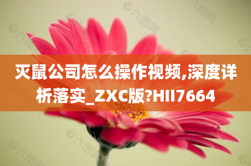 灭鼠公司怎么操作视频,深度详析落实_ZXC版?HII7664