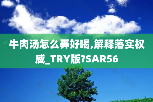 牛肉汤怎么弄好喝,解释落实权威_TRY版?SAR56