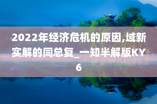 2022年经济危机的原因,域新实解的同总复_一知半解版KY6