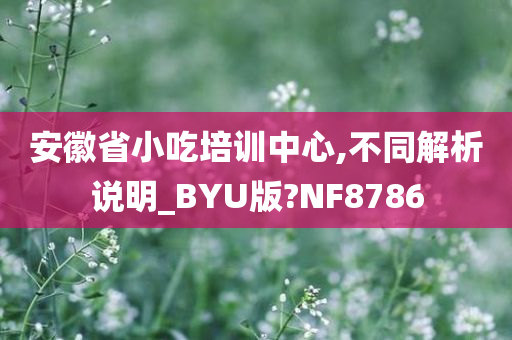 安徽省小吃培训中心,不同解析说明_BYU版?NF8786