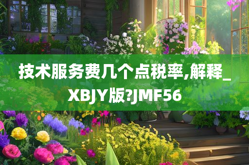 技术服务费几个点税率,解释_XBJY版?JMF56