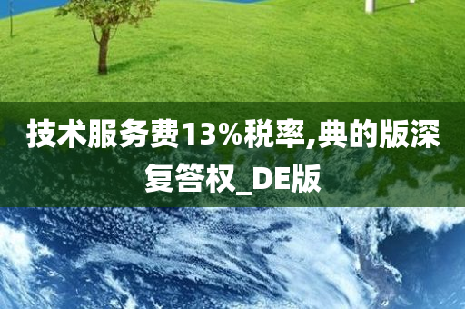 技术服务费13%税率,典的版深复答权_DE版