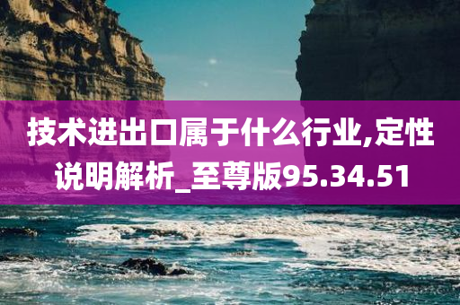 技术进出口属于什么行业,定性说明解析_至尊版95.34.51