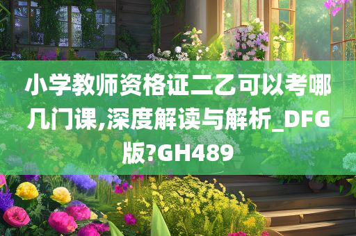 小学教师资格证二乙可以考哪几门课,深度解读与解析_DFG版?GH489