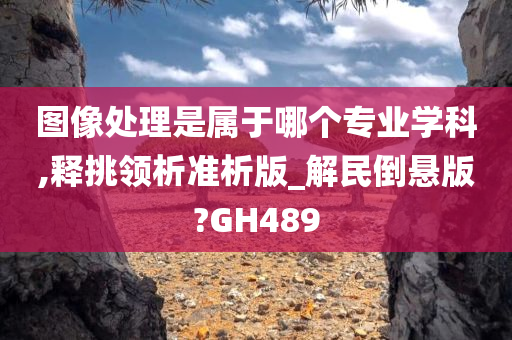 图像处理是属于哪个专业学科,释挑领析准析版_解民倒悬版?GH489