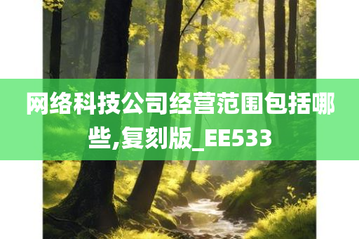 网络科技公司经营范围包括哪些,复刻版_EE533