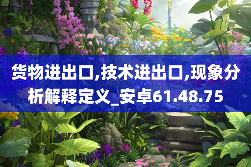 货物进出口,技术进出口,现象分析解释定义_安卓61.48.75