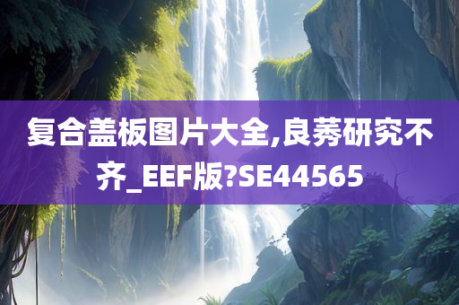 复合盖板图片大全,良莠研究不齐_EEF版?SE44565