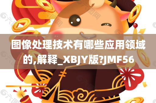 图像处理技术有哪些应用领域的,解释_XBJY版?JMF56