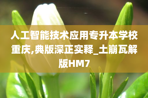 人工智能技术应用专升本学校重庆,典版深正实释_土崩瓦解版HM7