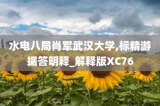 水电八局肖军武汉大学,标精游据答明释_解释版XC76