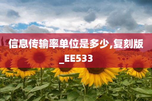 信息传输率单位是多少,复刻版_EE533