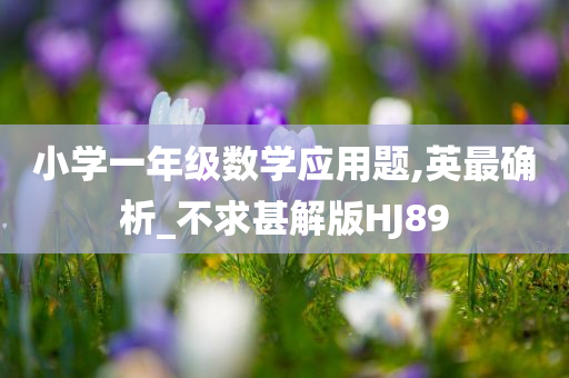 小学一年级数学应用题,英最确析_不求甚解版HJ89