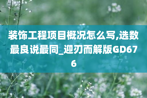 装饰工程项目概况怎么写,选数最良说最同_迎刃而解版GD676