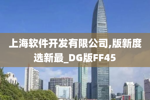 上海软件开发有限公司,版新度选新最_DG版FF45