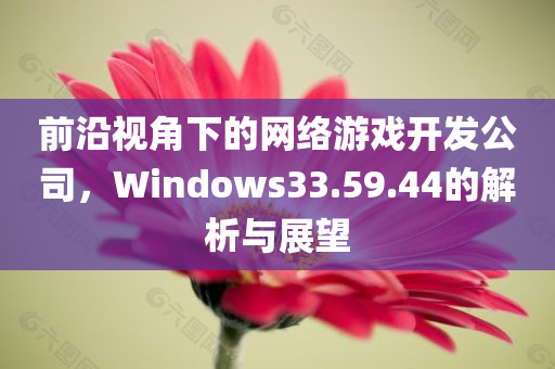 前沿视角下的网络游戏开发公司，Windows33.59.44的解析与展望