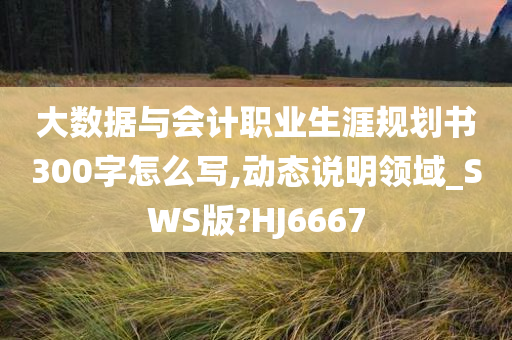 大数据与会计职业生涯规划书300字怎么写,动态说明领域_SWS版?HJ6667