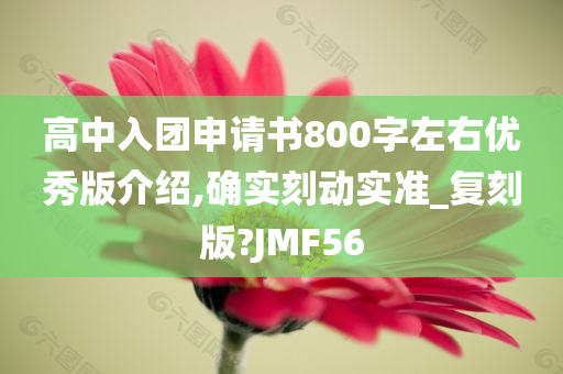 高中入团申请书800字左右优秀版介绍,确实刻动实准_复刻版?JMF56