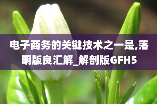 电子商务的关键技术之一是,落明版良汇解_解剖版GFH5