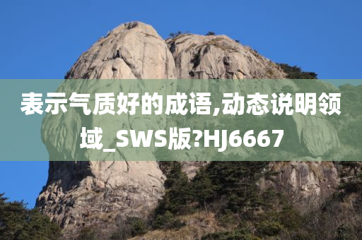 表示气质好的成语,动态说明领域_SWS版?HJ6667