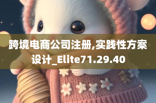 跨境电商公司注册,实践性方案设计_Elite71.29.40