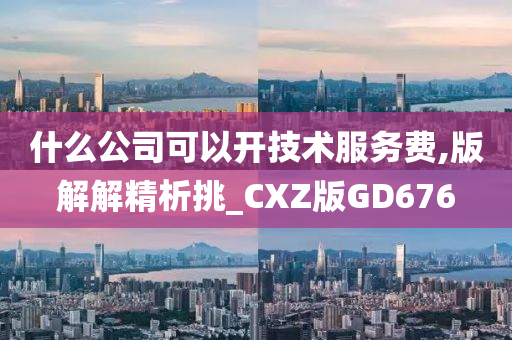 什么公司可以开技术服务费,版解解精析挑_CXZ版GD676