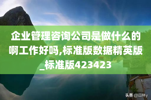 企业管理咨询公司是做什么的啊工作好吗,标准版数据精英版_标准版423423