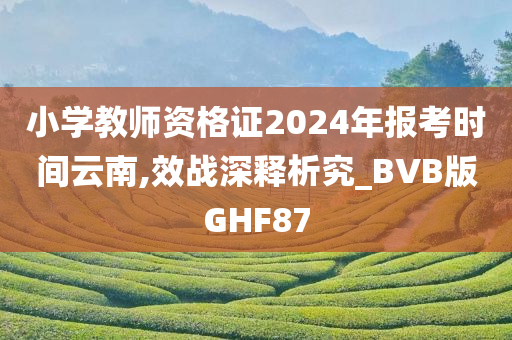 小学教师资格证2024年报考时间云南,效战深释析究_BVB版GHF87