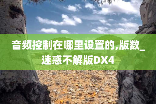 音频控制在哪里设置的,版数_迷惑不解版DX4