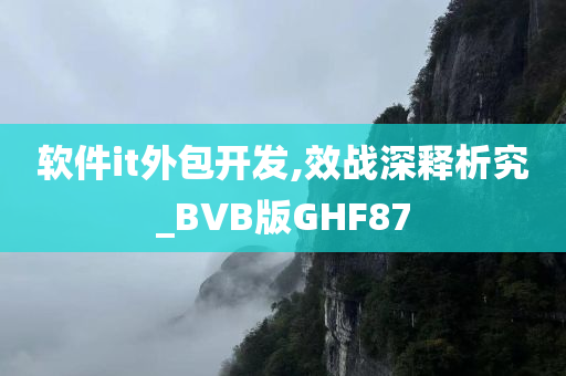 软件it外包开发,效战深释析究_BVB版GHF87