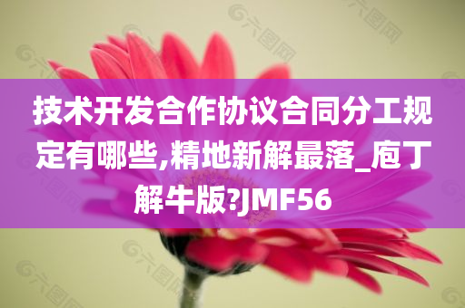 技术开发合作协议合同分工规定有哪些,精地新解最落_庖丁解牛版?JMF56