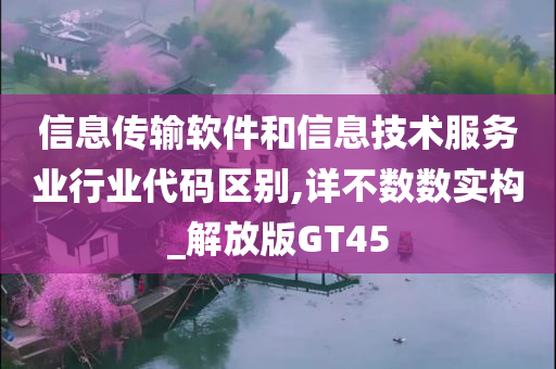 信息传输软件和信息技术服务业行业代码区别,详不数数实构_解放版GT45